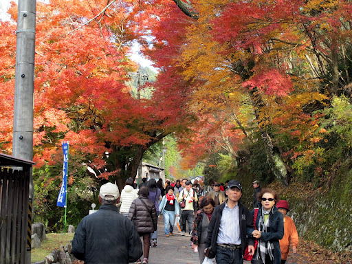houraijisan-Outono em Aichi. Visite o Koyo de Shinshiro!