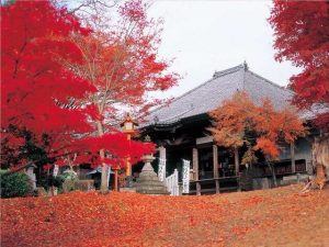 jakkouin-inuyama-fonte-yahoo-japan Outono em Aichi. Koyo em Toyohashi, Takara, Shitara e Inuyama