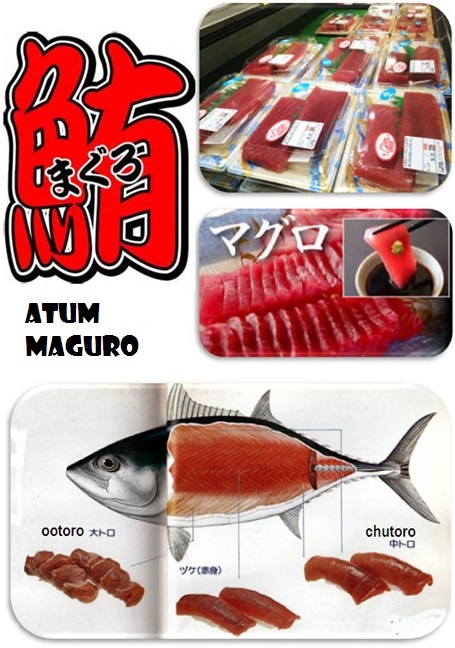 peixes-japoneses-maguro