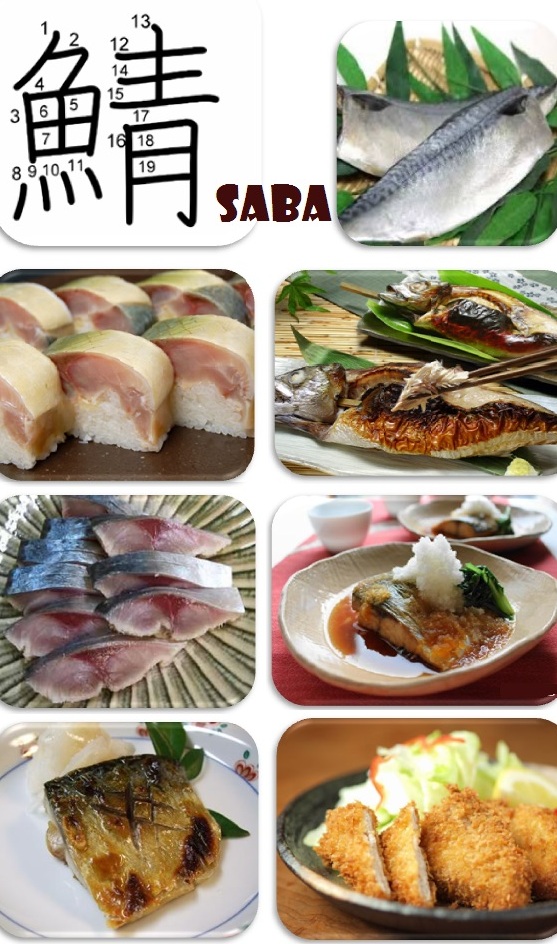 peixes-japoneses-saba