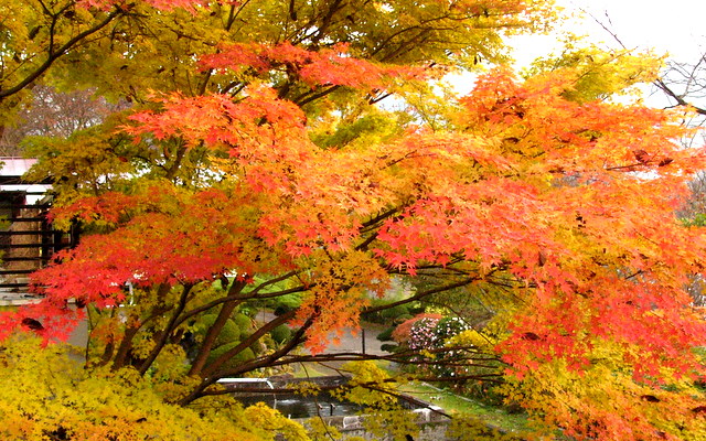 gunma-kiryu-kiryugawa-joryu-Outono em Gunma. Magnifico koyo nas montanhas, rios, pontes