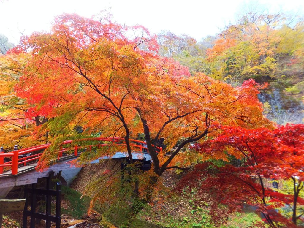 gunma-shibukawa-ikaho-onsen-Outono em Gunma. Magnifico koyo nas montanhas, rios, pontes