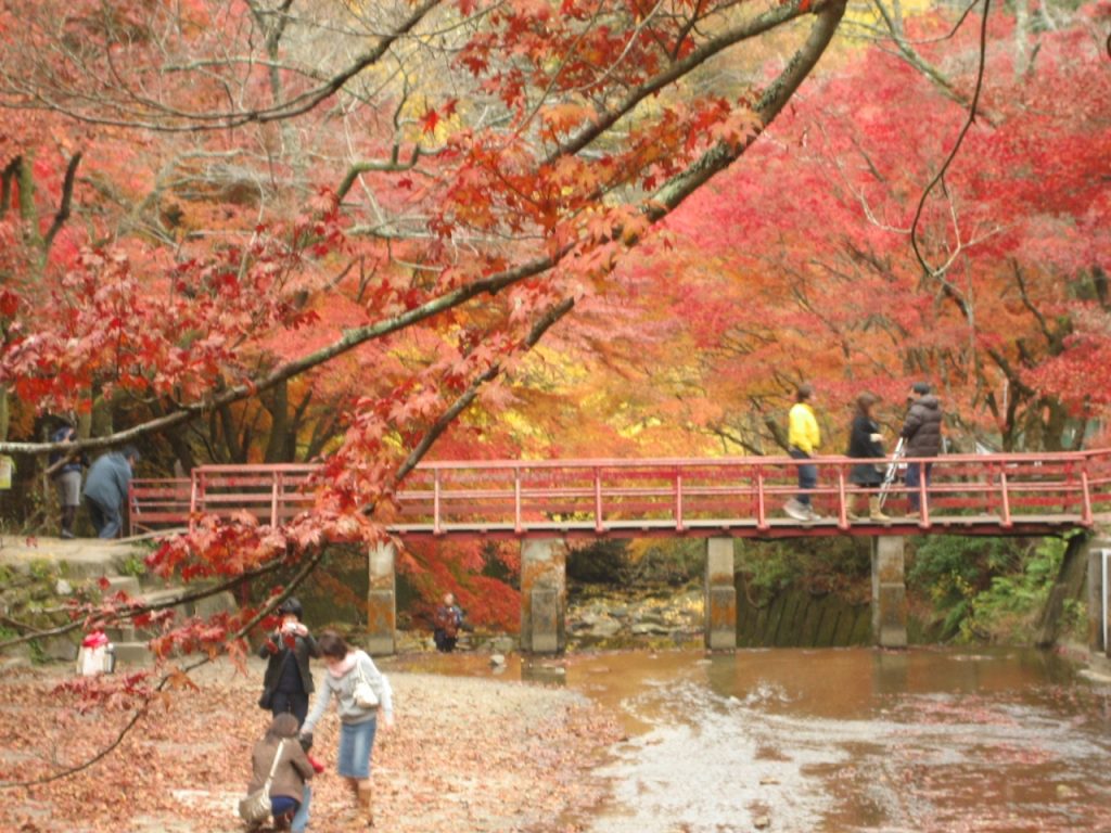 iwayado-kouen-seto-Outono em Aichi - Koyo de Seto-shi