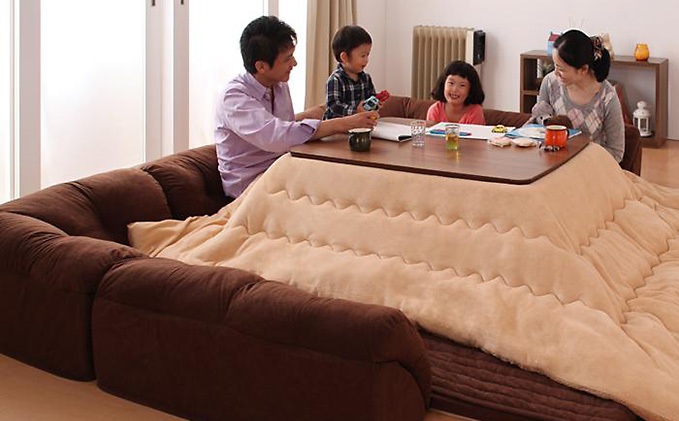 Tradicionalmente, as crianças são informados de que eles vão pegar um resfriado se dormir sob um kotatsu . Animais de estimação, como gatos frequentemente dormir sob kotatsu , no entanto, e são pequenos o suficiente para caber completamente debaixo 